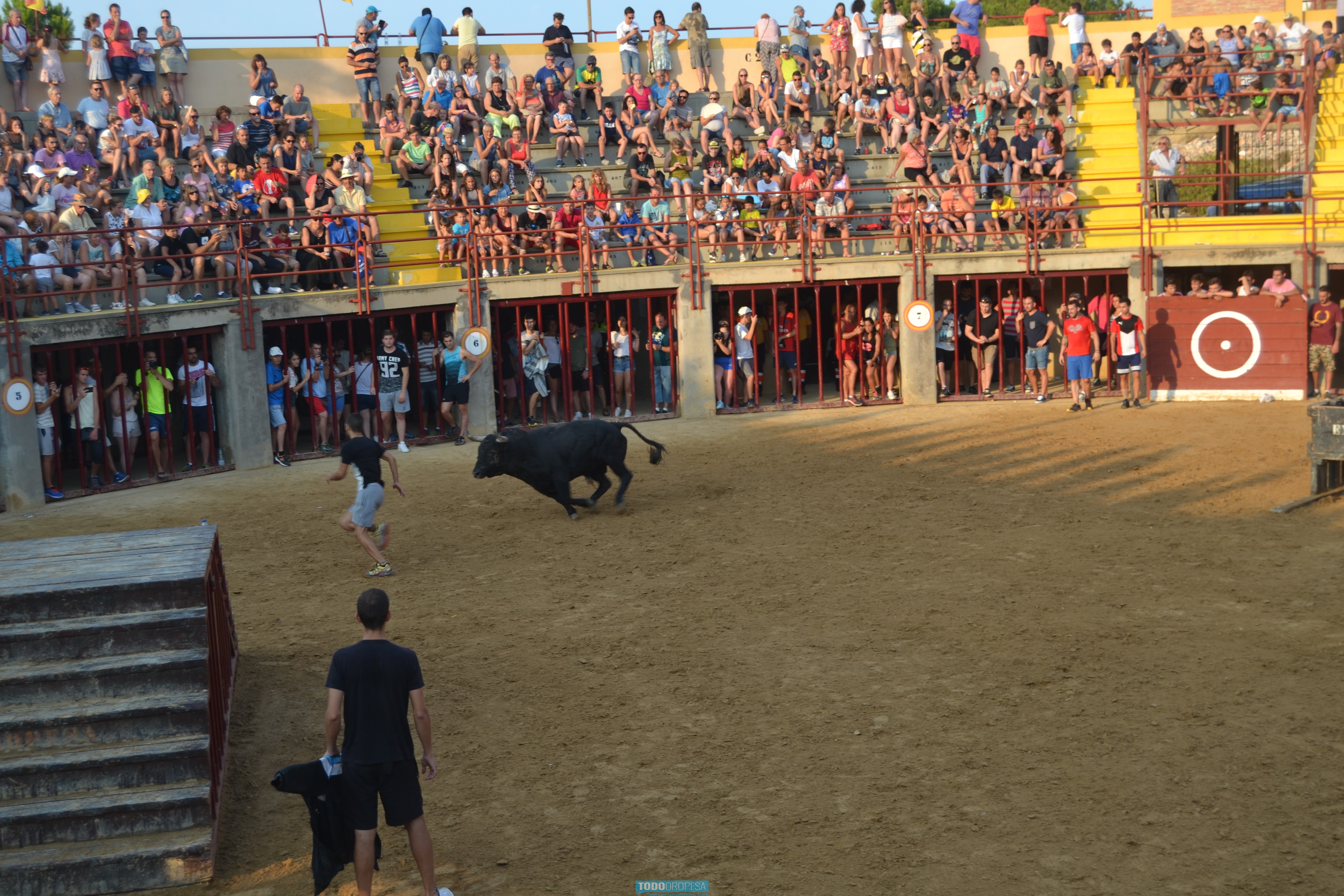 Los toros de la ganadería 'El Gallo' protagonizan la jornada taurina