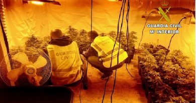 La Guardia Civil detiene a un vecino de Oropesa y desmantela un cultivo con 75 plantas de marihuana La Guardia Civil detiene a un vecino de Oropesa y desmantela un cultivo con 75 plantas de marihuana